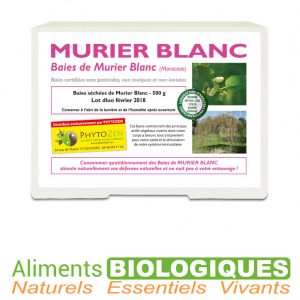 baies-de-murier-blanc-sechees-phytozen-naturabaies