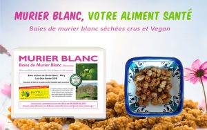 Baies-de-murier-blanc-sechees