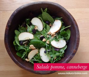 salade-pomme-canneberge