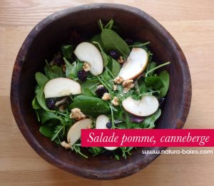 salade-pomme-canneberge2