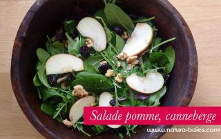 salade-pomme-canneberge2