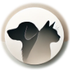 complement_chien_chat